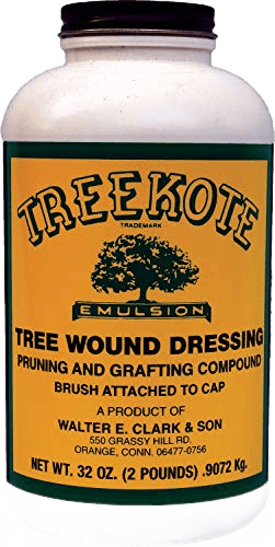 Treekote Wound Dressing